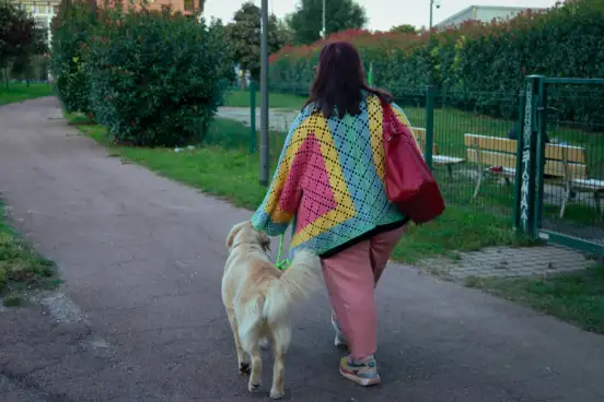 Happy dog leaving the salon